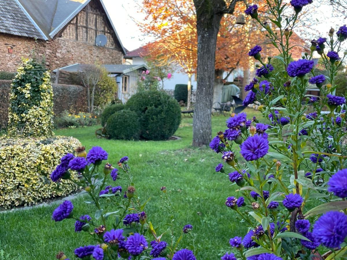 Haus-Hoeppches Blankenheim  Exteriér fotografie
